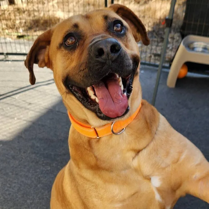 Bon Jovi thumbnail 2