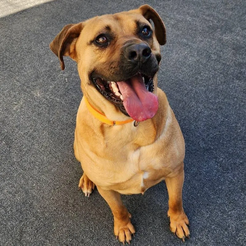 Bon Jovi thumbnail 3