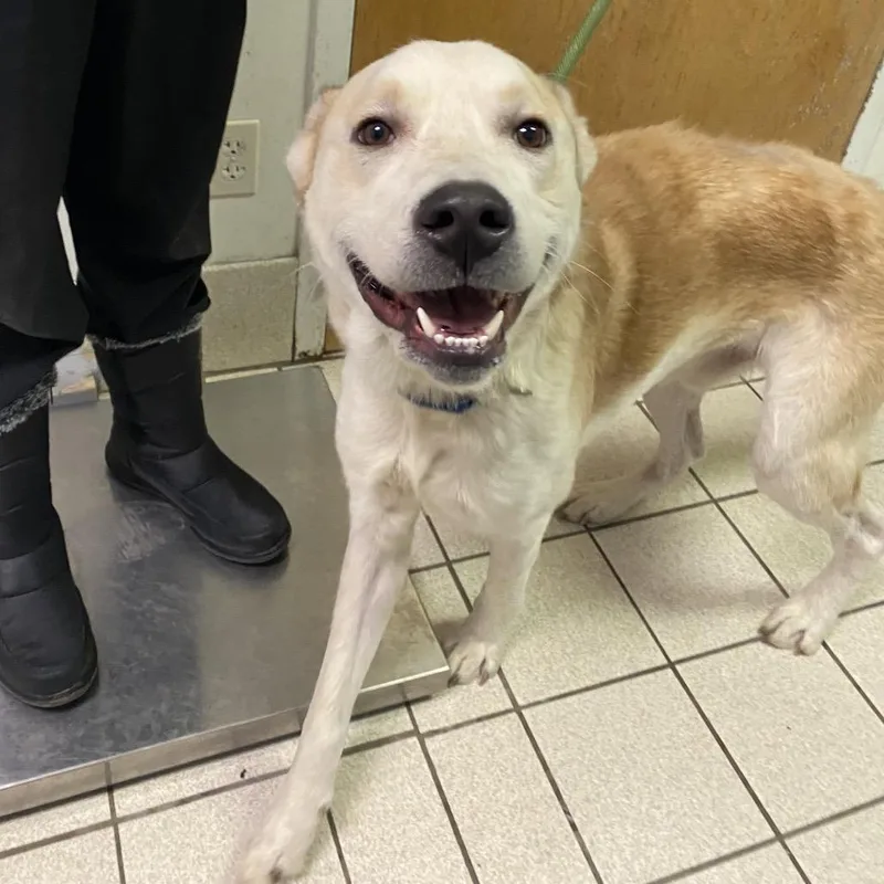 Giuseppe thumbnail 2