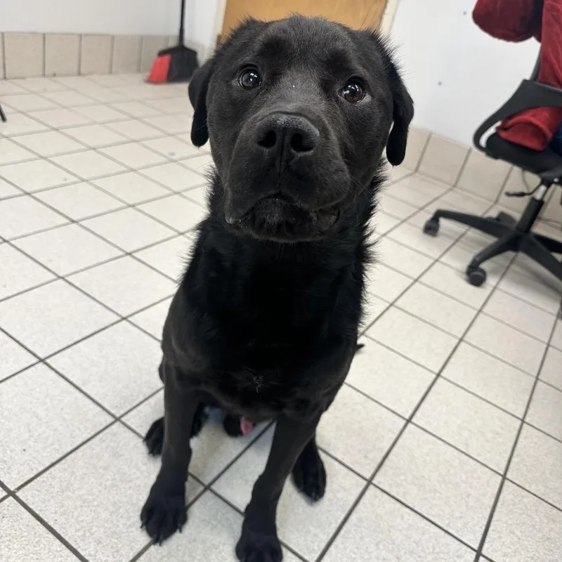 Farnsworth thumbnail 2