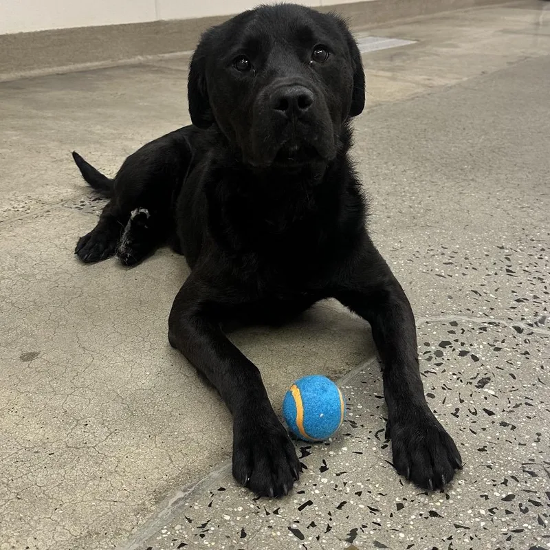 Farnsworth thumbnail 3