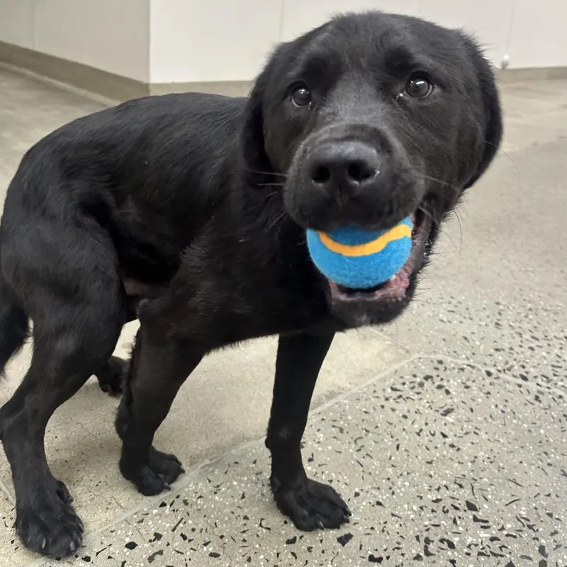 Farnsworth thumbnail 5