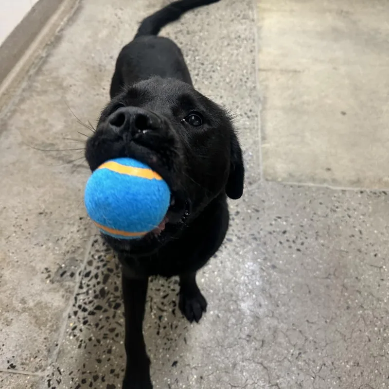 Farnsworth thumbnail 6