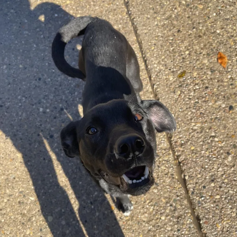 Charlotte thumbnail 2