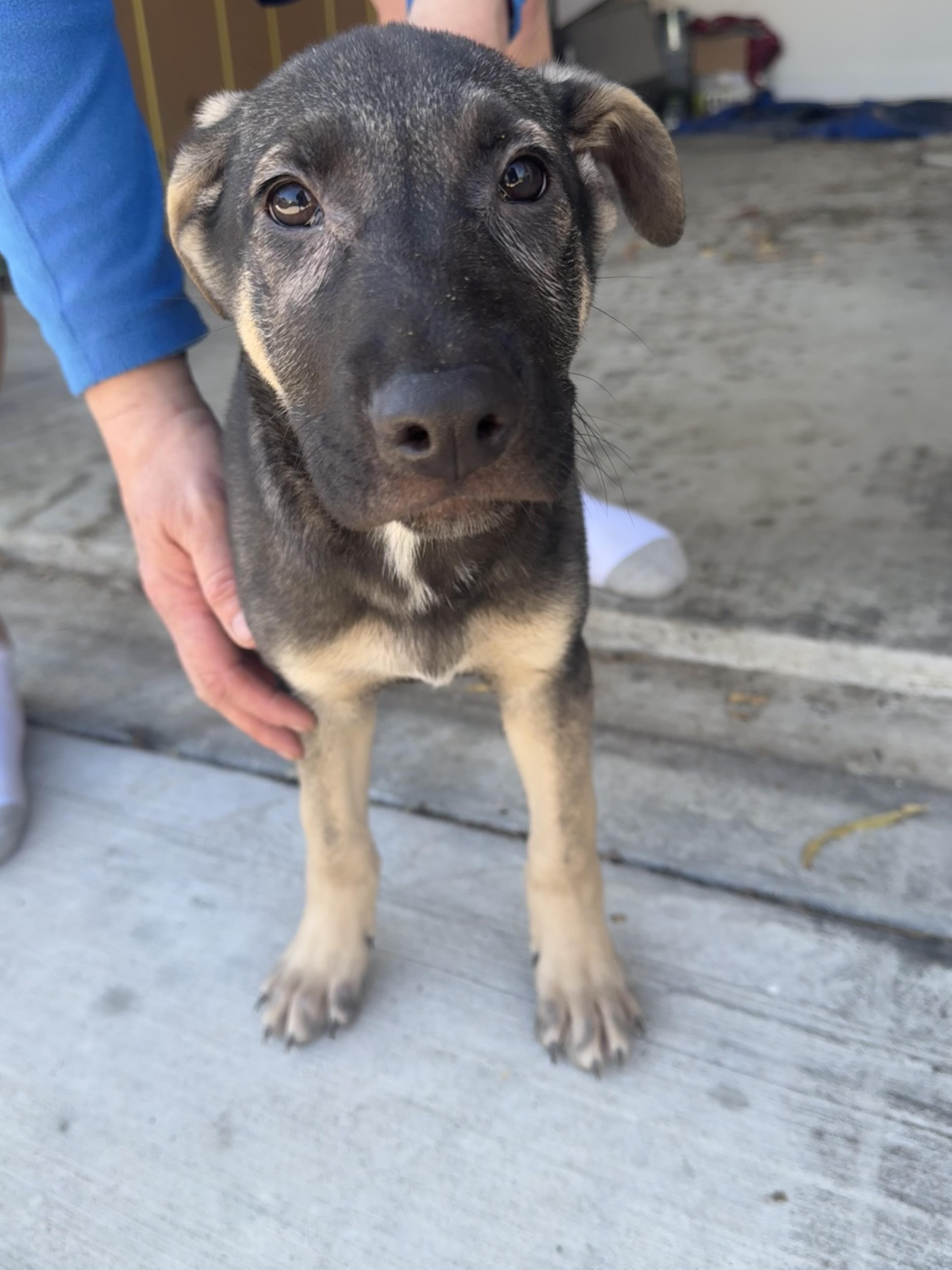 Flynn Ryder thumbnail 2