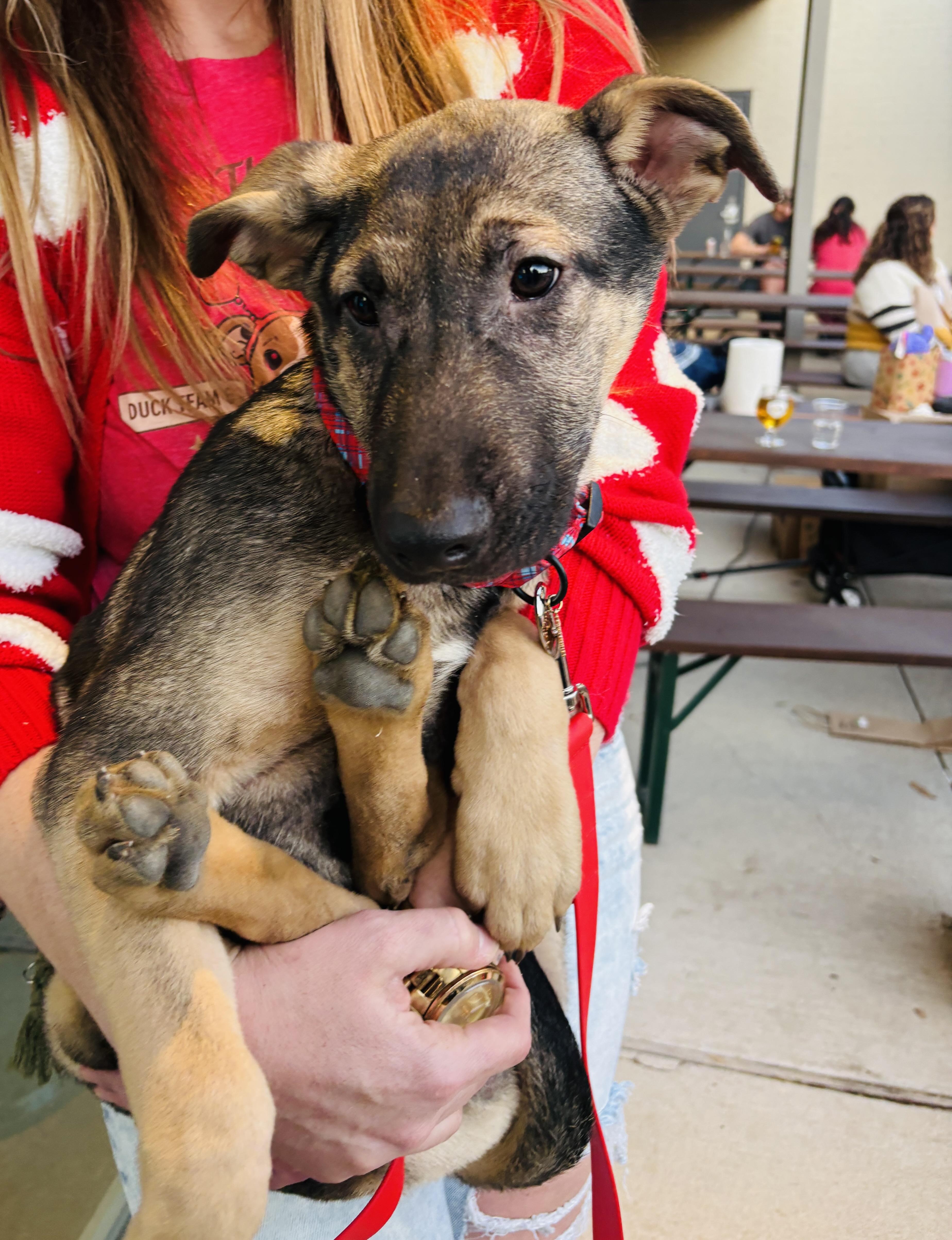 Flynn Ryder thumbnail 3