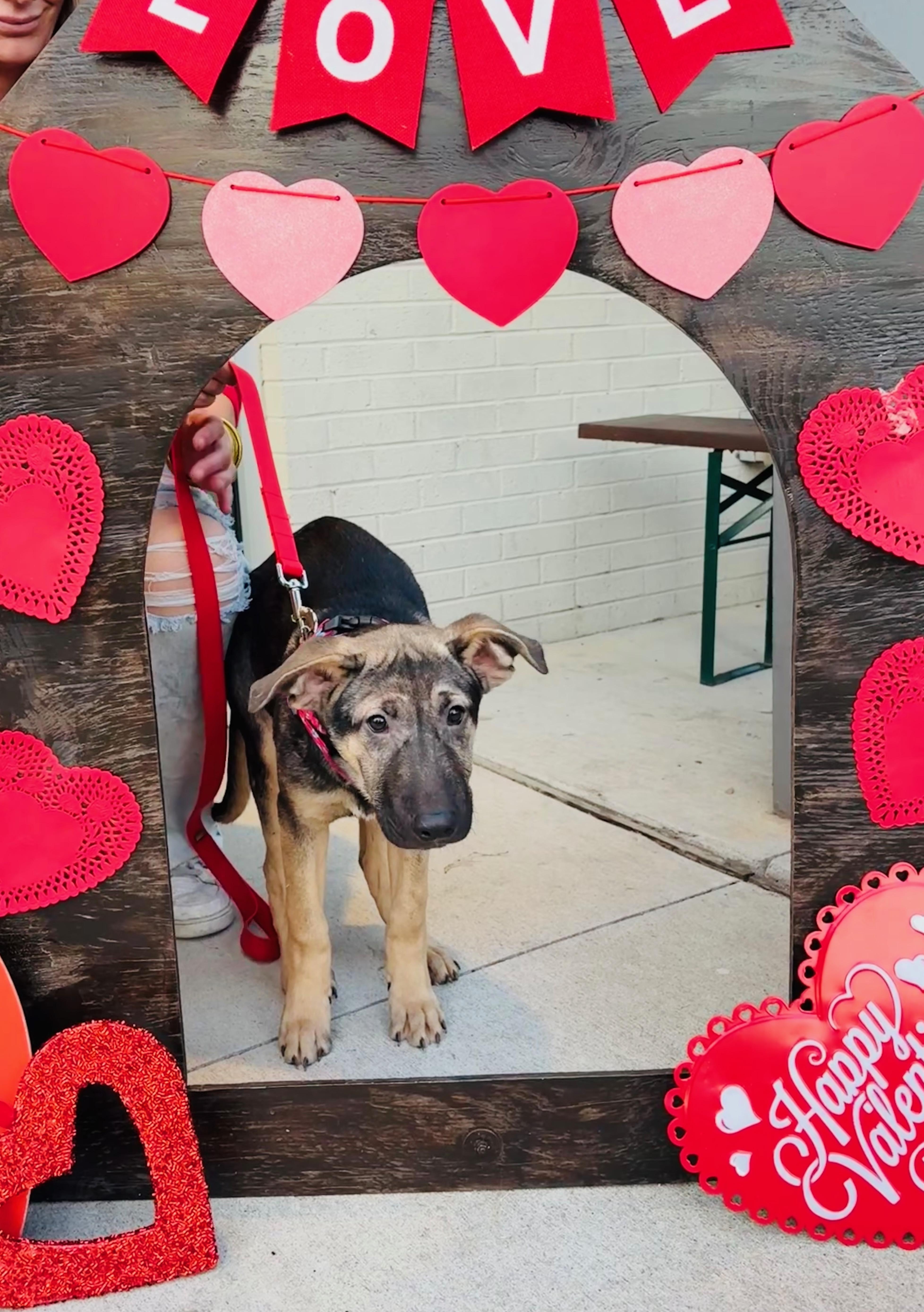 Flynn Ryder thumbnail 4