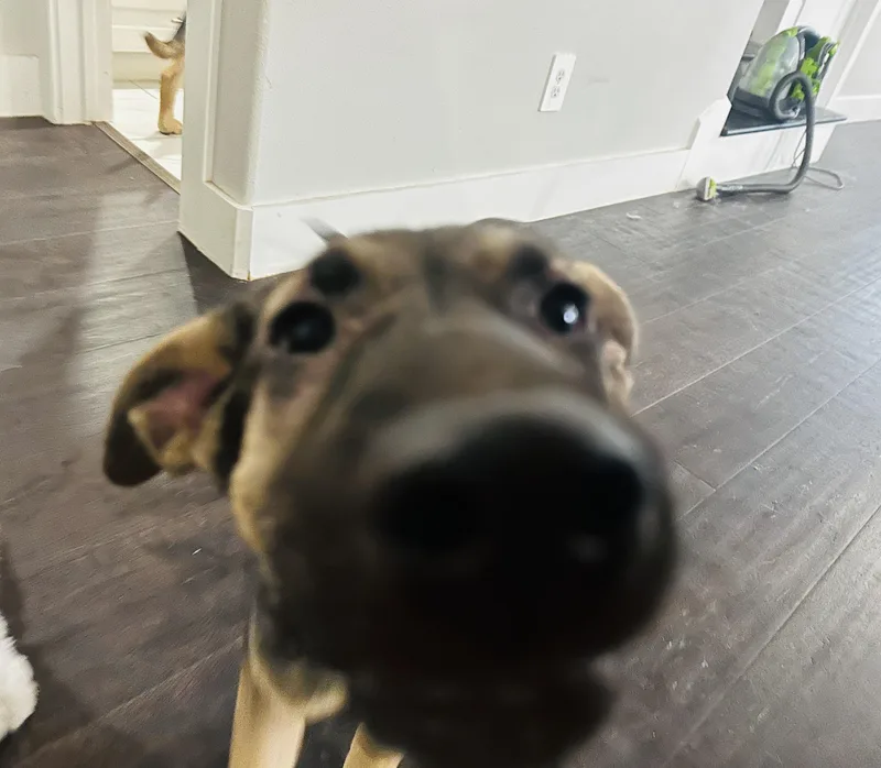 Flynn Ryder thumbnail 5