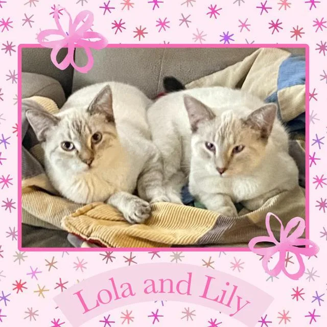 Lola & Lily