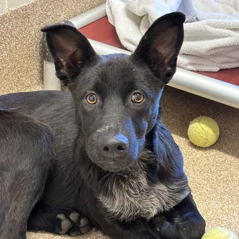 Superman thumbnail 2