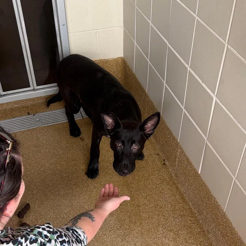 Superman thumbnail 3