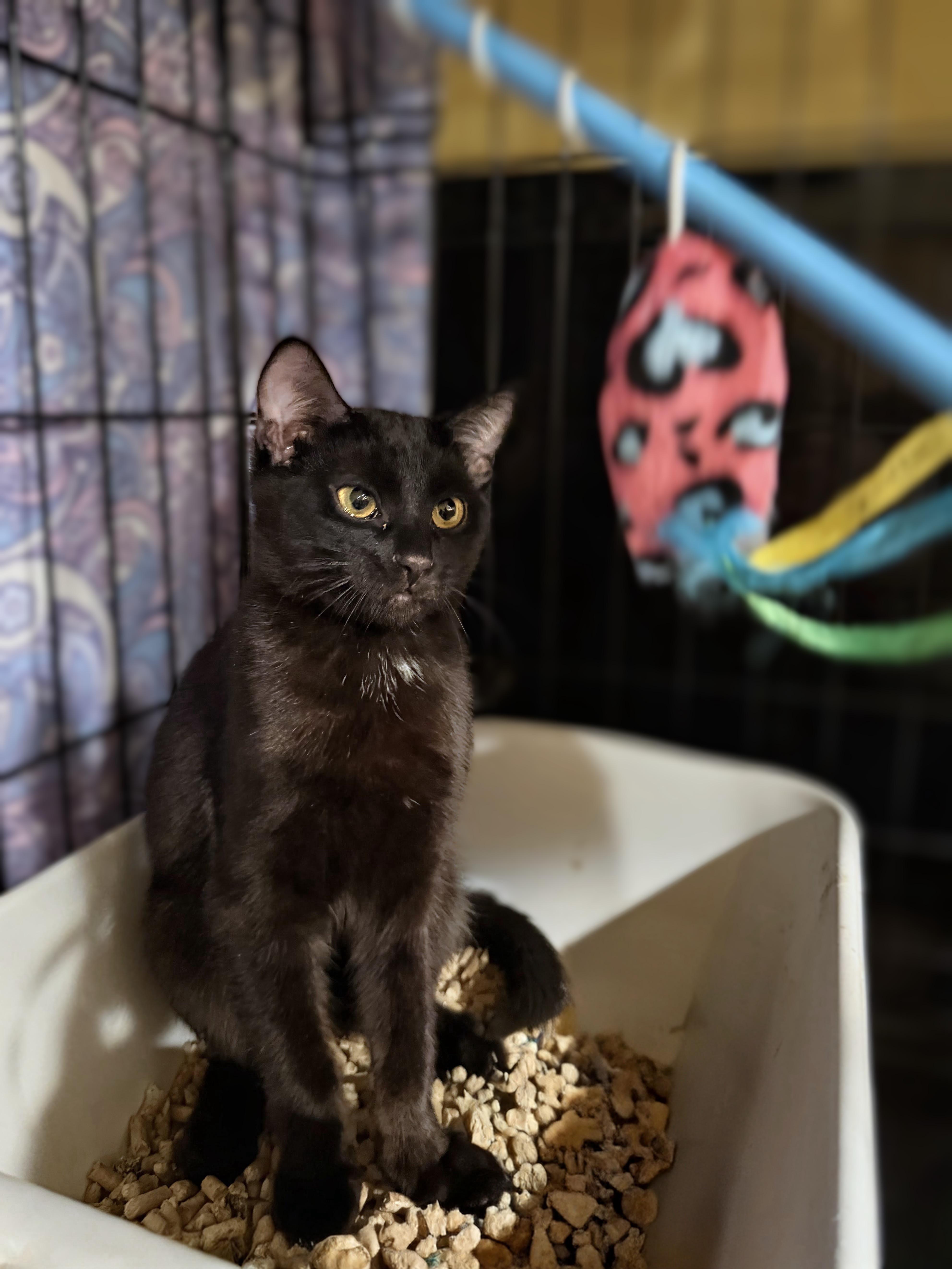 Handel And Hayden thumbnail 3