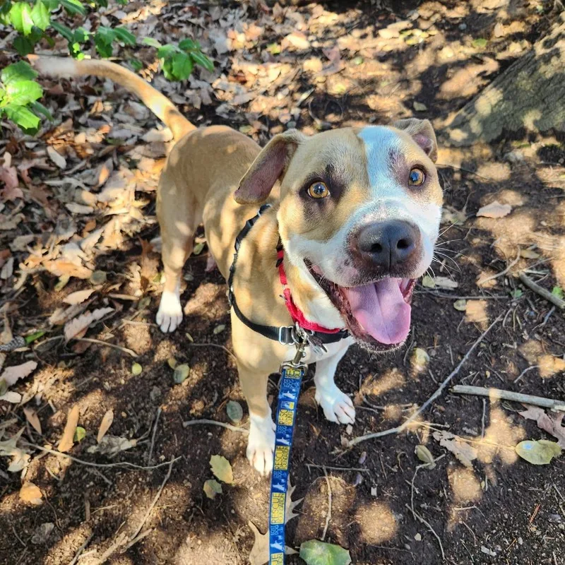 Milo Murphy thumbnail 2