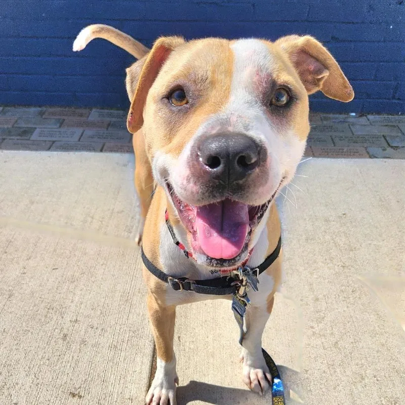 Milo Murphy thumbnail 3