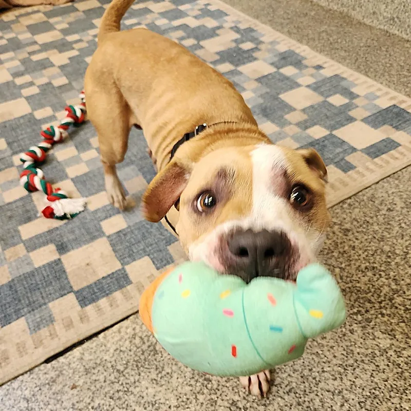 Milo Murphy thumbnail 4