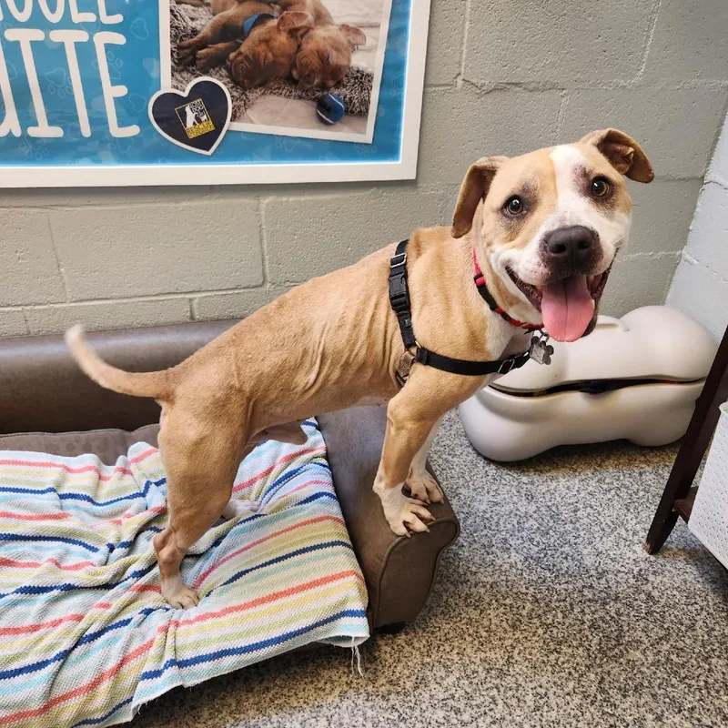 Milo Murphy thumbnail 5