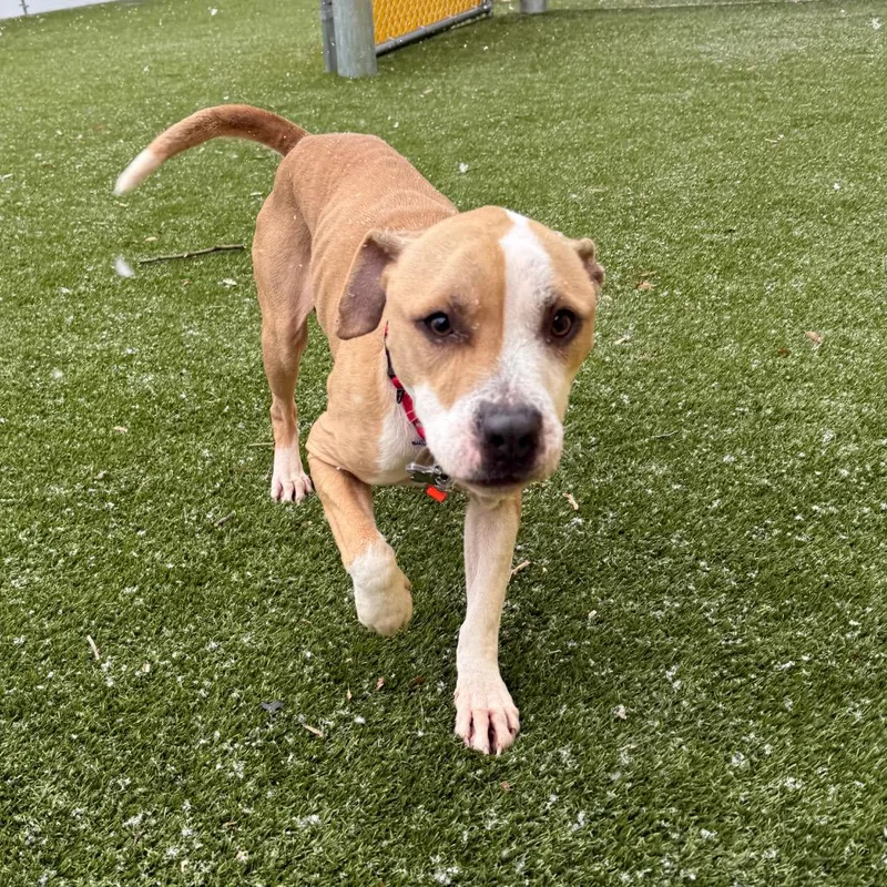 Milo Murphy thumbnail 6