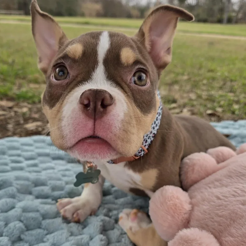 Cordelia  Special Needs thumbnail 3