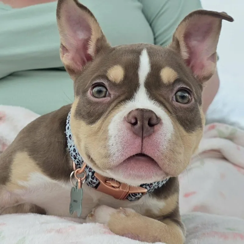 Cordelia  Special Needs