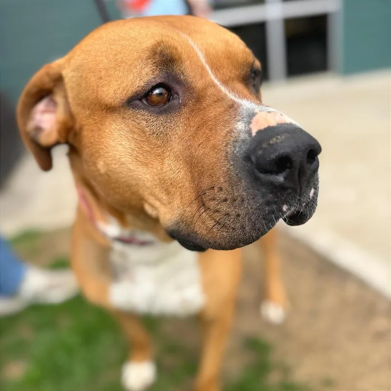 Mollybell thumbnail 2