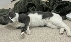 Big Bang thumbnail 3