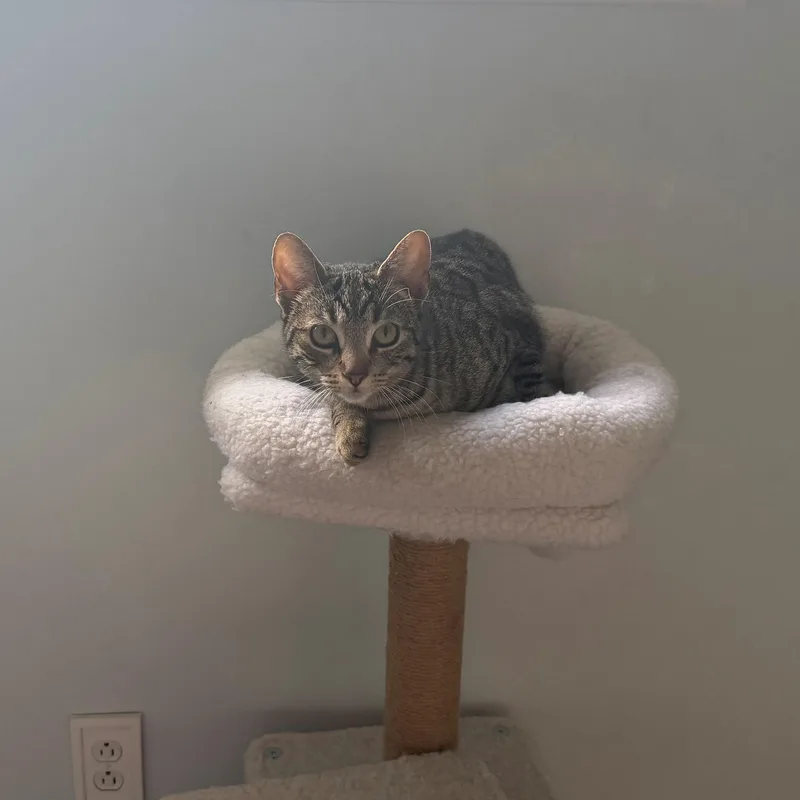 Lily Potter thumbnail 2