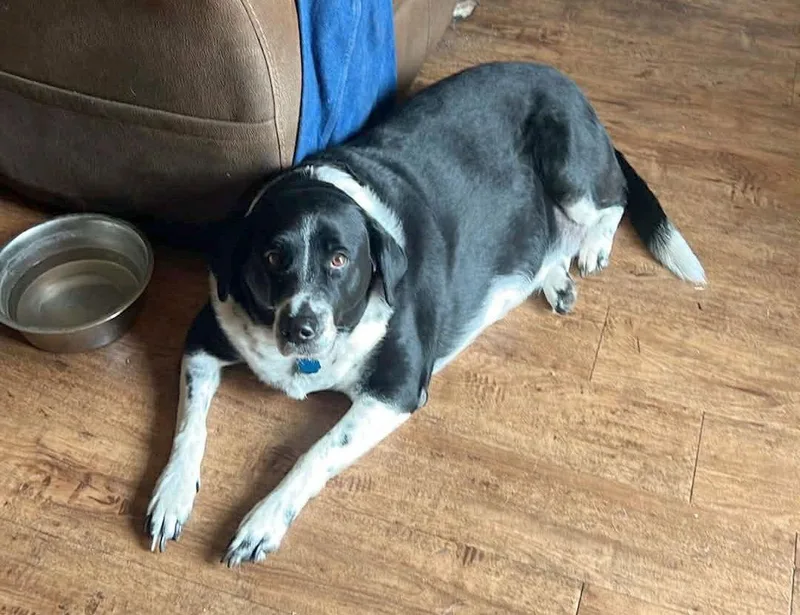 Jayejaye thumbnail 2