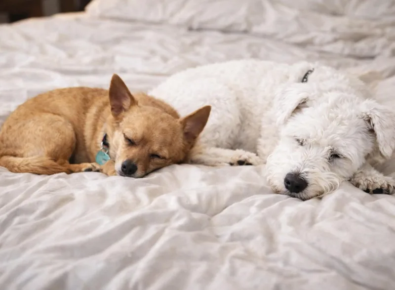 Jack & Rose thumbnail 2