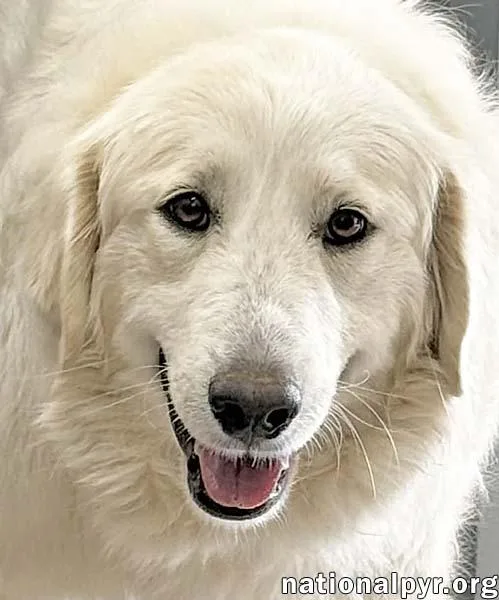 Jolene In Tn  thumbnail 2