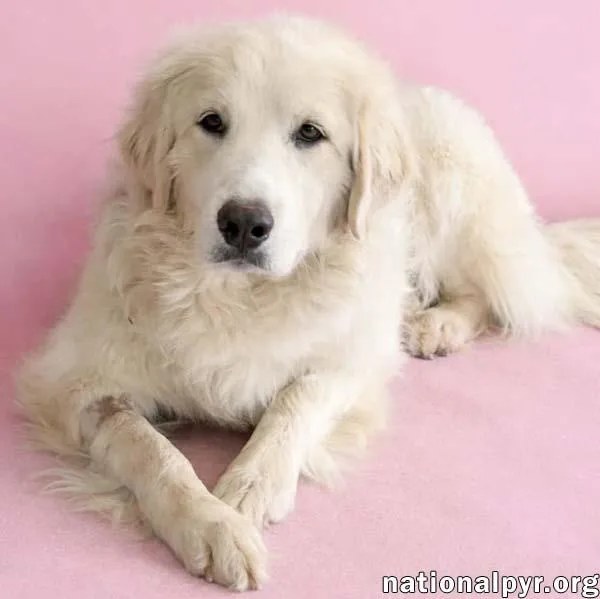 Jolene In Tn  thumbnail 3