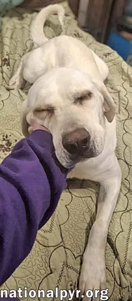 Princess In Tn  thumbnail 2