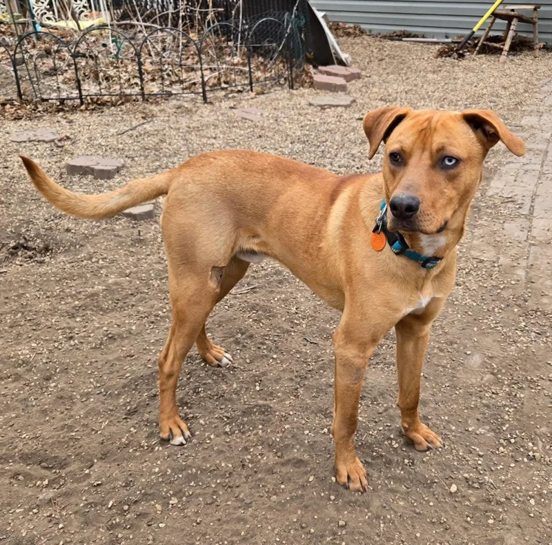 Trubidor thumbnail 3