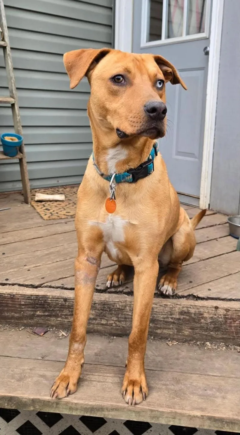 Trubidor thumbnail 6