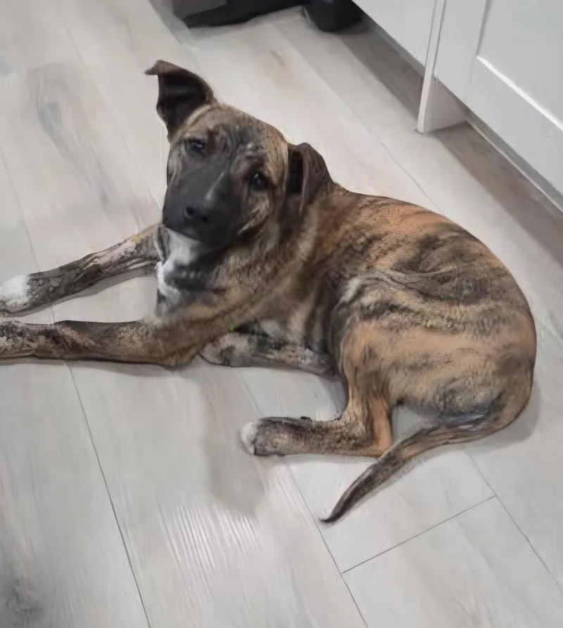 Willowby thumbnail 2