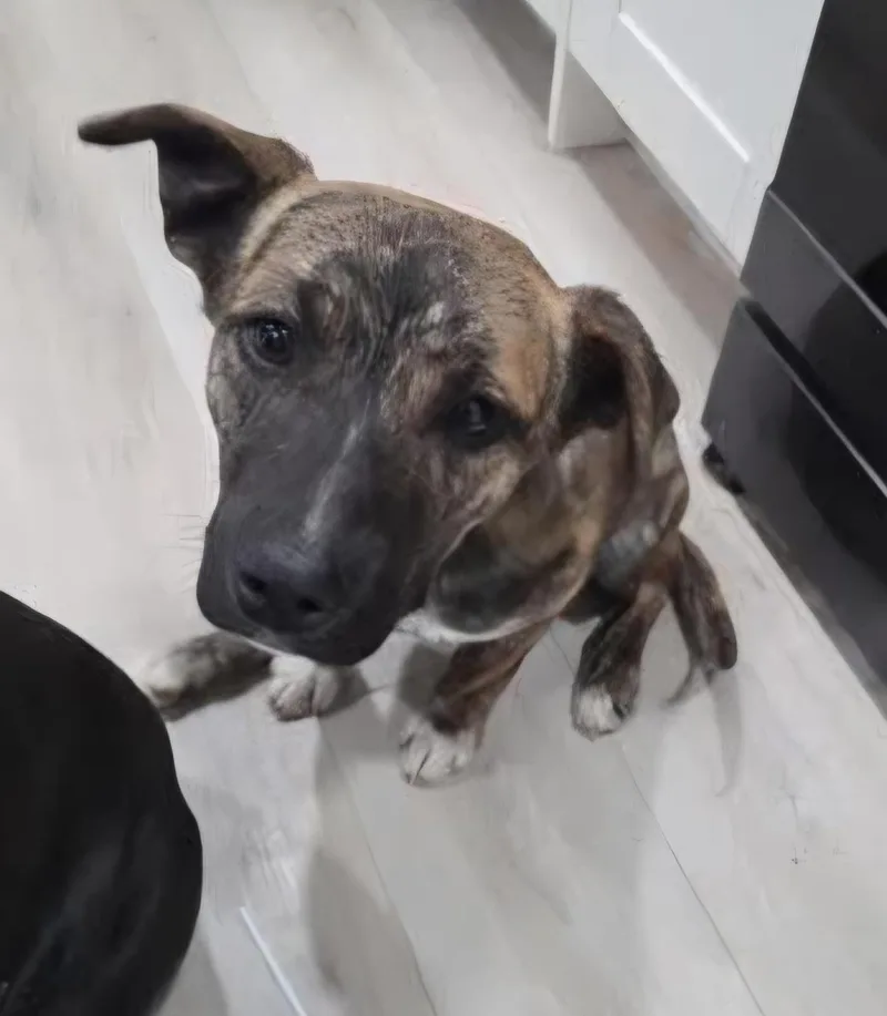 Willowby thumbnail 3