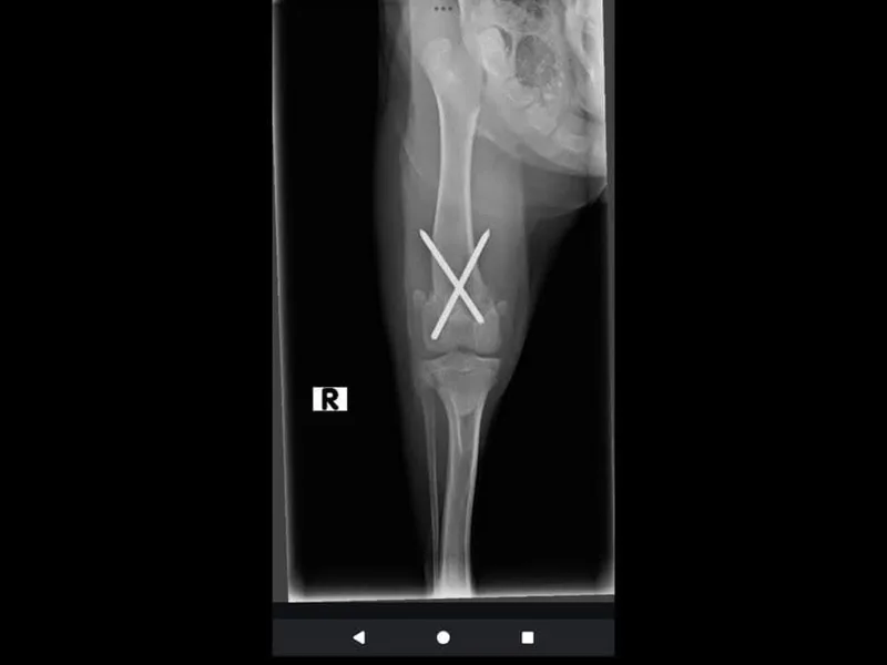 Willowby thumbnail 5