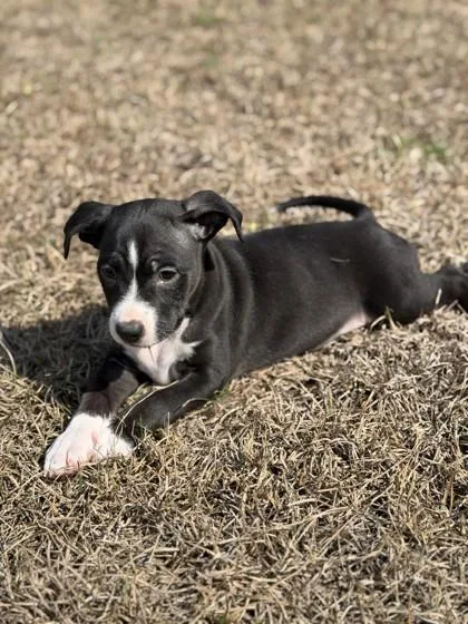 Princesszelda thumbnail 2