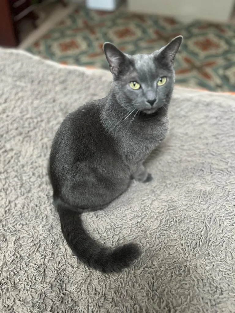 Smale Park thumbnail 4