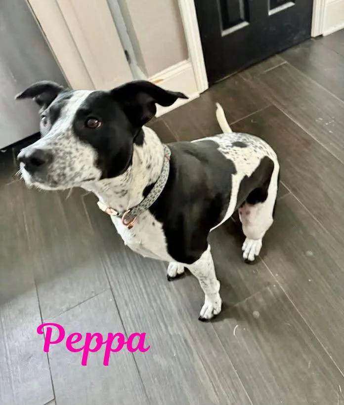 Peppa
