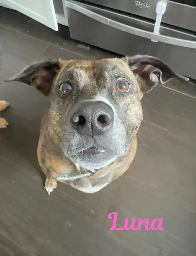Luna