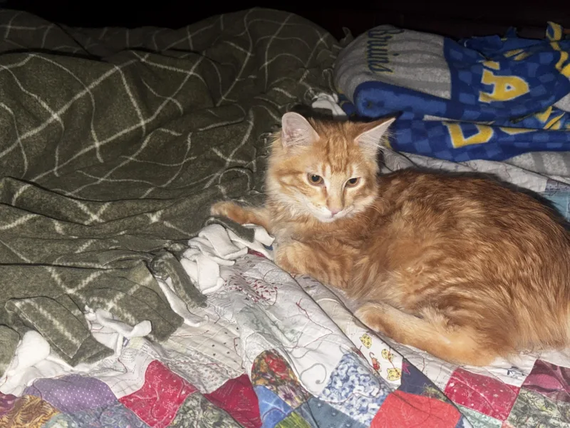 Mel  Soft And thumbnail 3