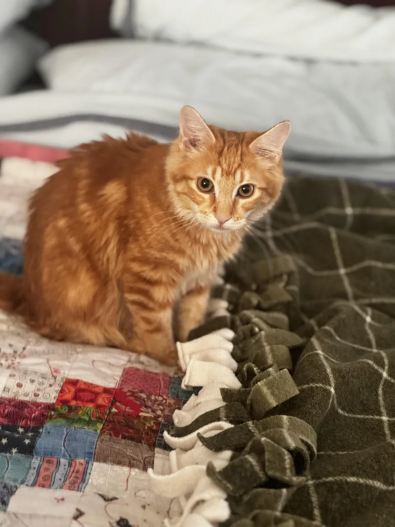 Mel  Soft And thumbnail 5