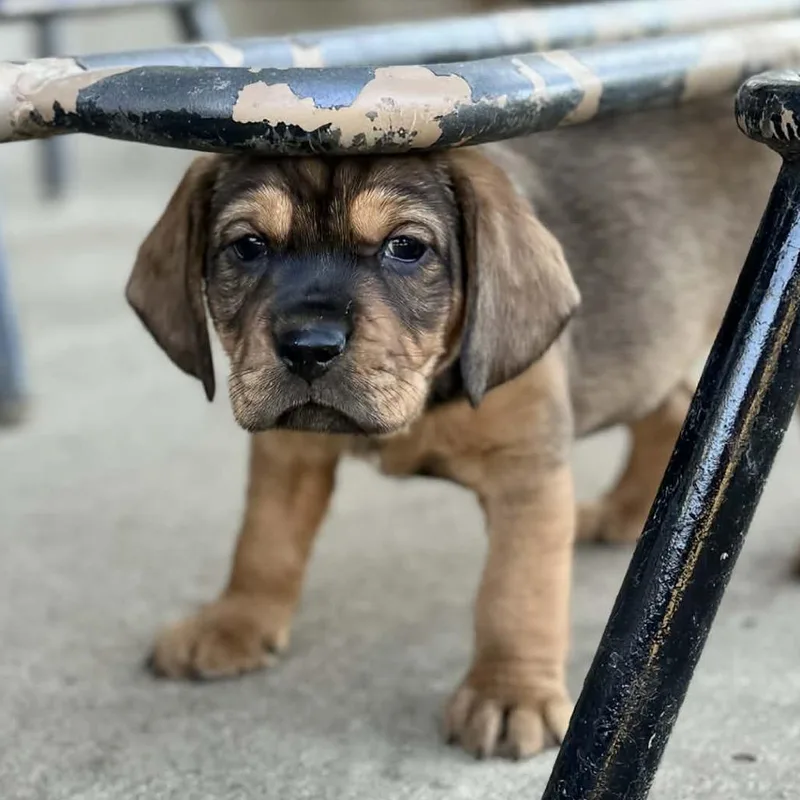 Jake From State Farm thumbnail 2