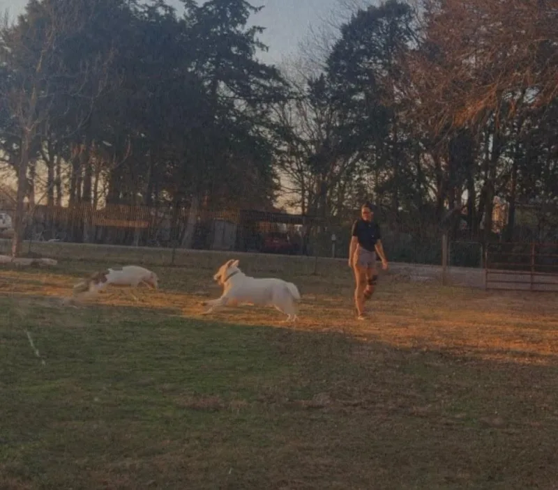 Mr Snowball thumbnail 3