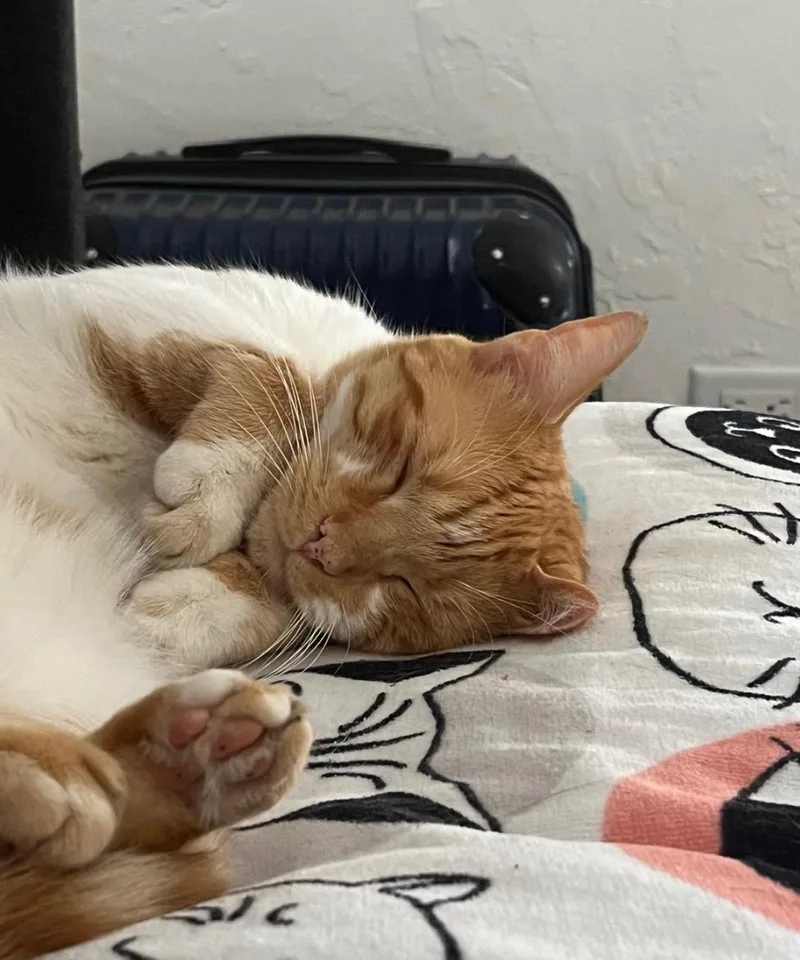 Mima And Tom thumbnail 2