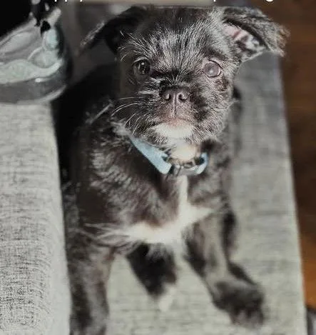 Colonel Bob Buttons thumbnail 3