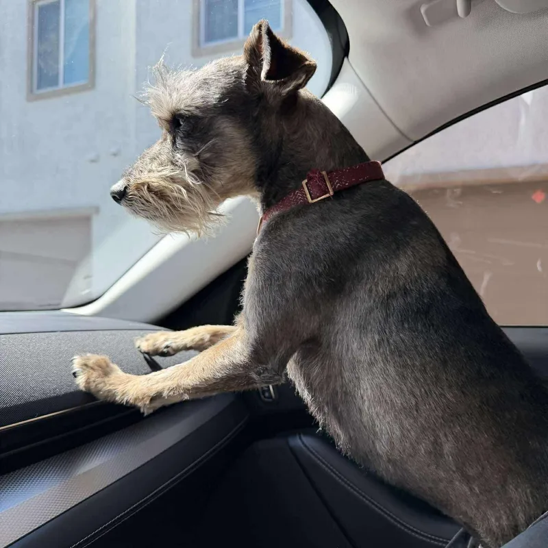 Prinston thumbnail 2