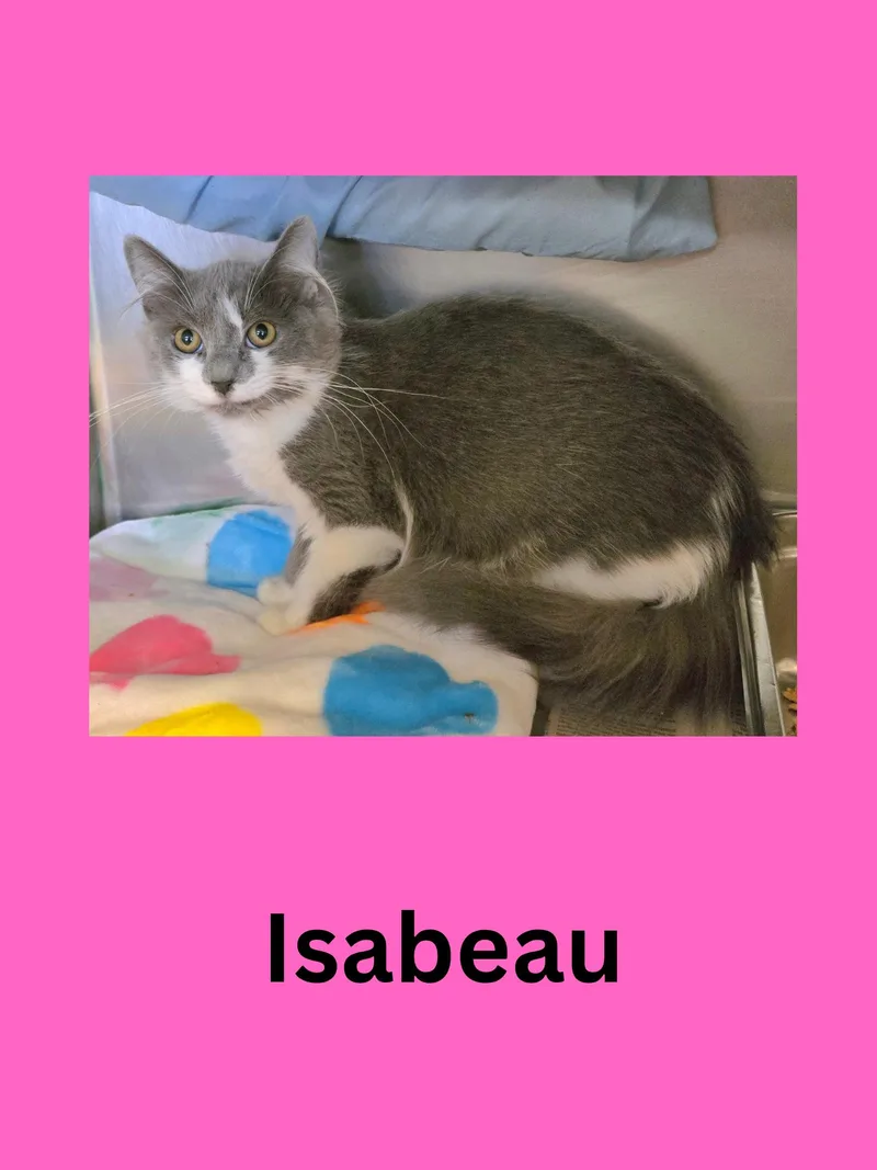 Isabeau