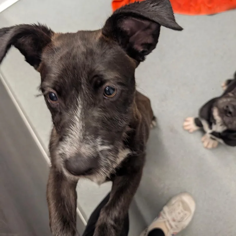 Darth City Of Industry