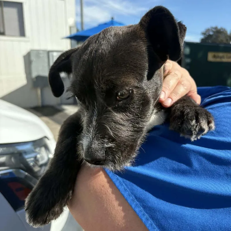 Darth  City Of thumbnail 2